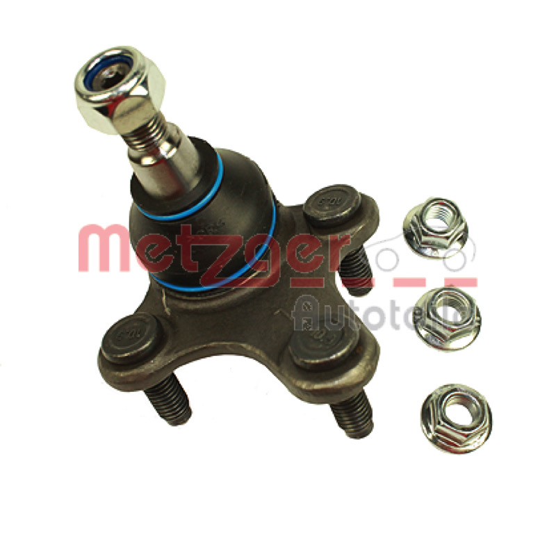 Άρθρωση υποστήριξης