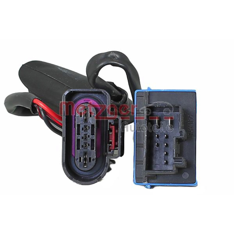 Εγκέφαλος, αντλία καυσίμων