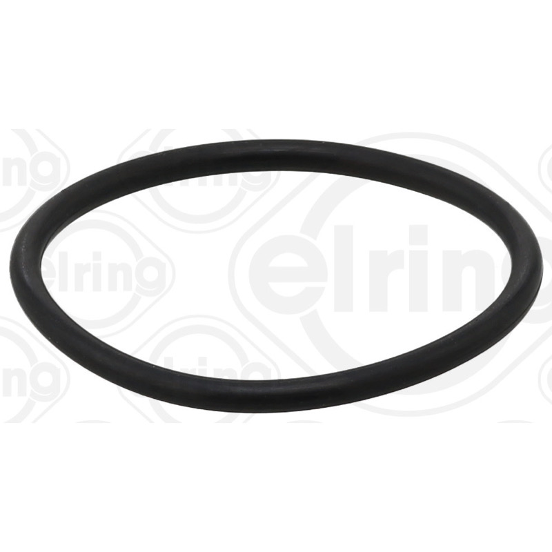 Στεγανοποιητικός δακτύλιος