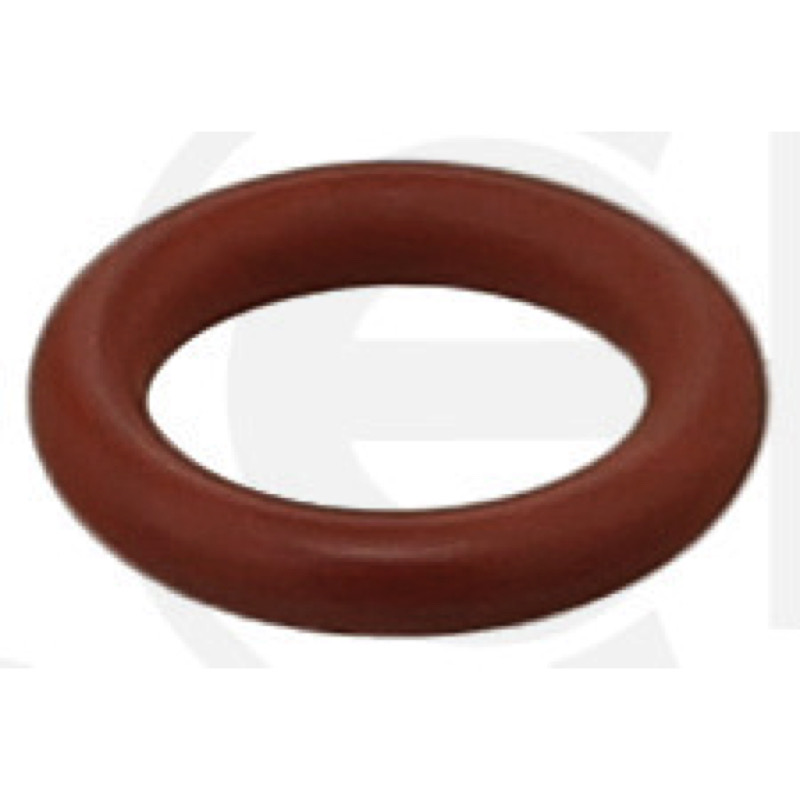 Στεγανοποιητικός δακτύλιος