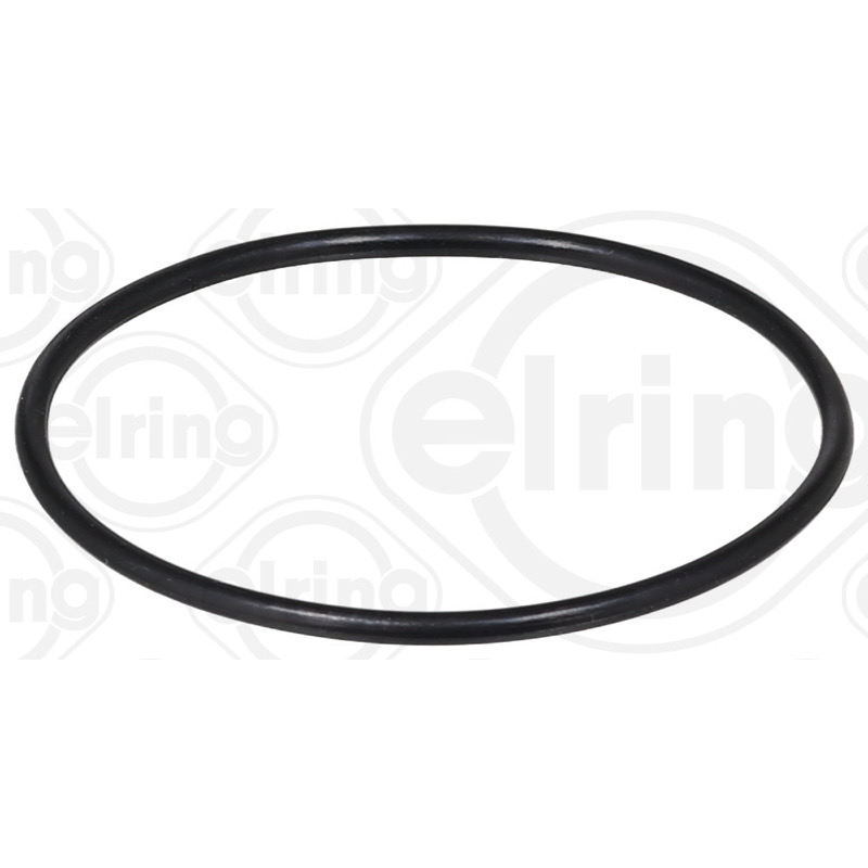 Στεγανοποιητικός δακτύλιος