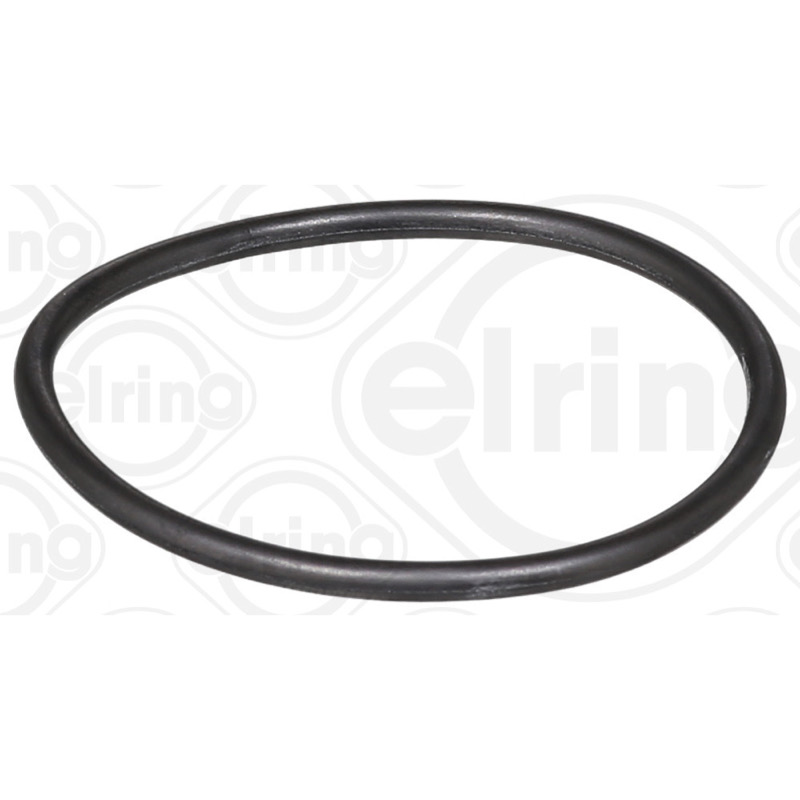 Στεγανοποιητικός δακτύλιος