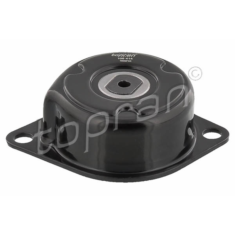 Τεντωτήρας ιμάντα, ιμάντας poly-V