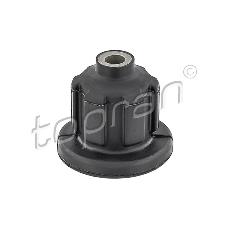 Έδραση , σώμα άξονα