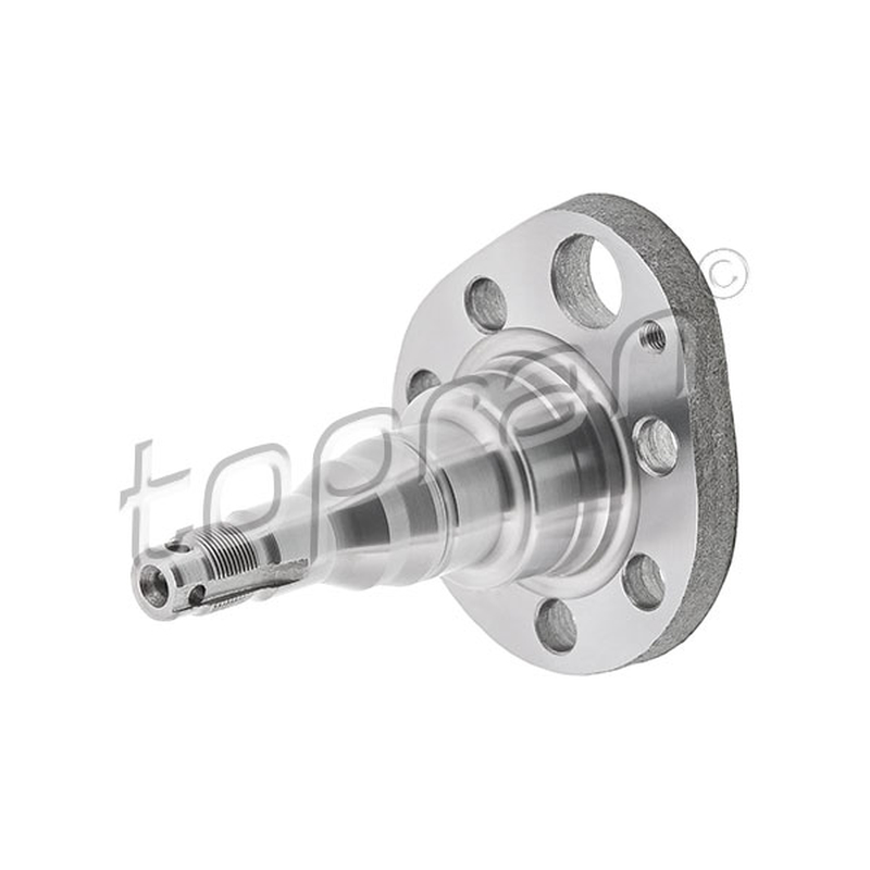 Ακραξόνιο, σώμα άξονα