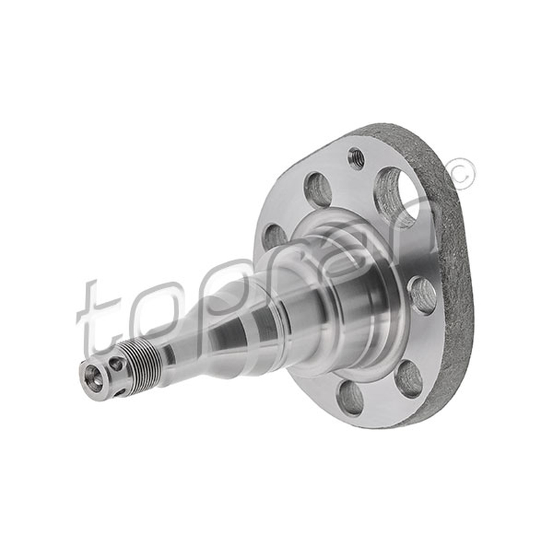 Ακραξόνιο, σώμα άξονα