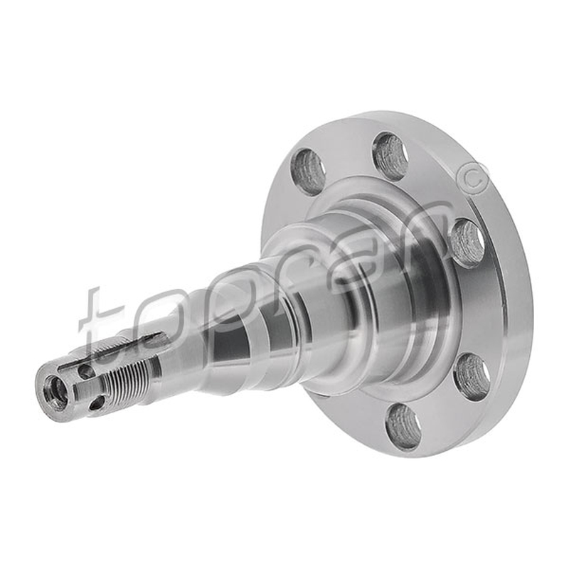 Ακραξόνιο, σώμα άξονα