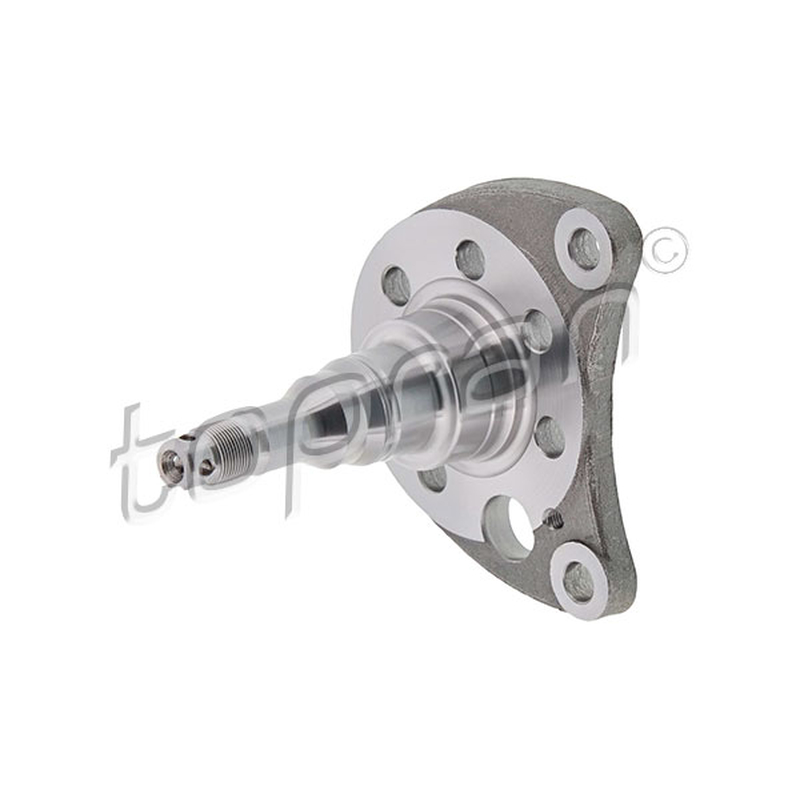 Ακραξόνιο, σώμα άξονα