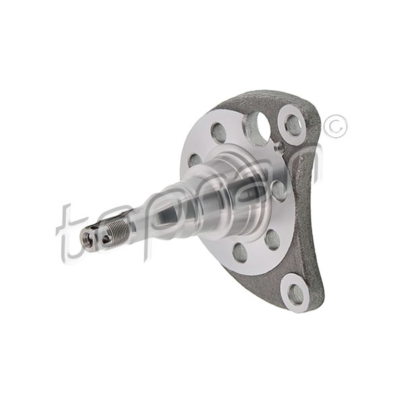 Ακραξόνιο, σώμα άξονα