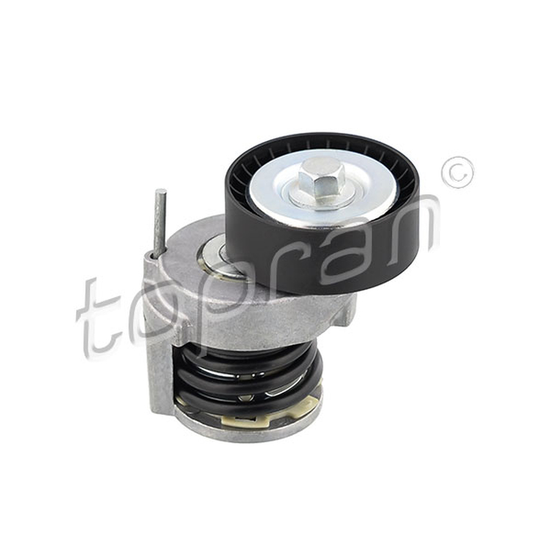 Τεντωτήρας ιμάντα, ιμάντας poly-V