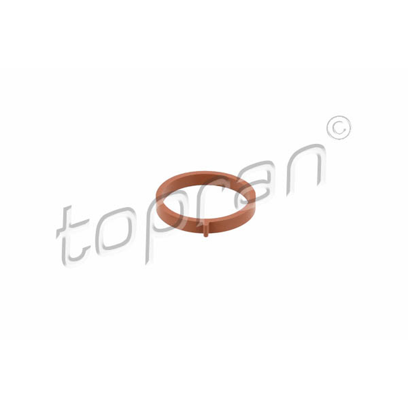 Τσιμούχα, πολλαπλή εισαγωγής