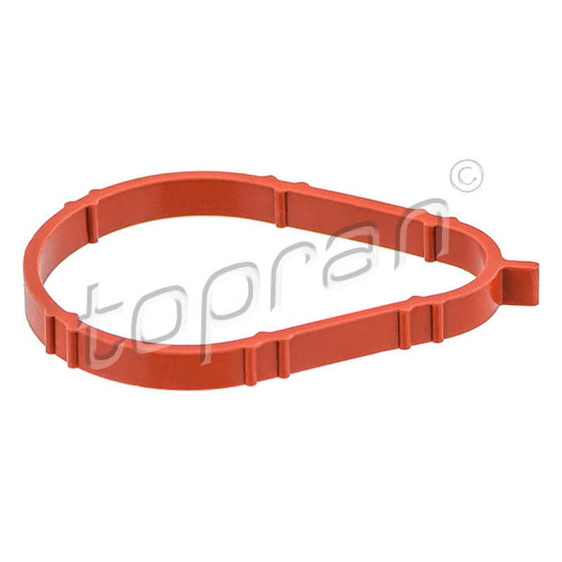 Τσιμούχα, πολλαπλή εισαγωγής