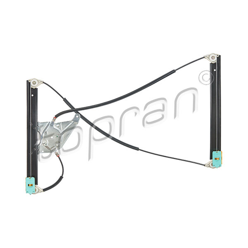 Γρύλος παραθύρου