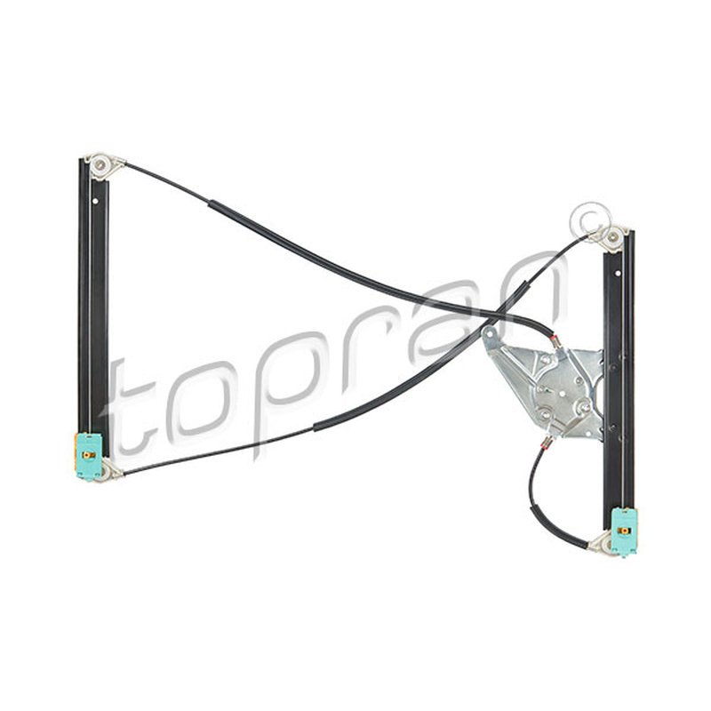 Γρύλος παραθύρου