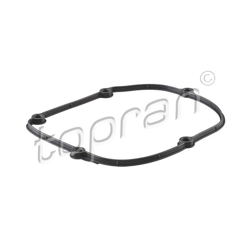 Φλάντζα, περίβλημα εγκεφάλου