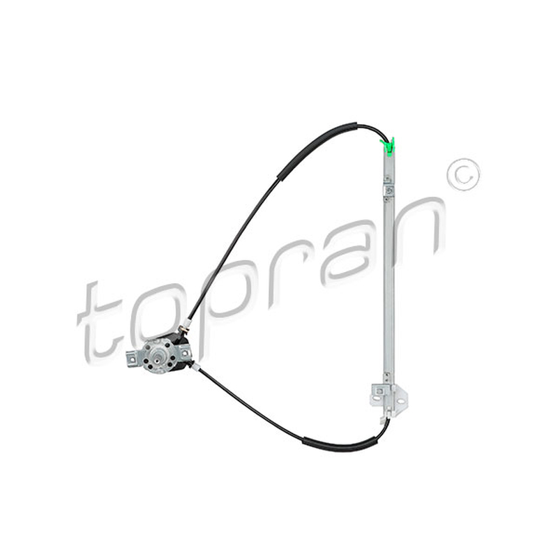 Γρύλος παραθύρου