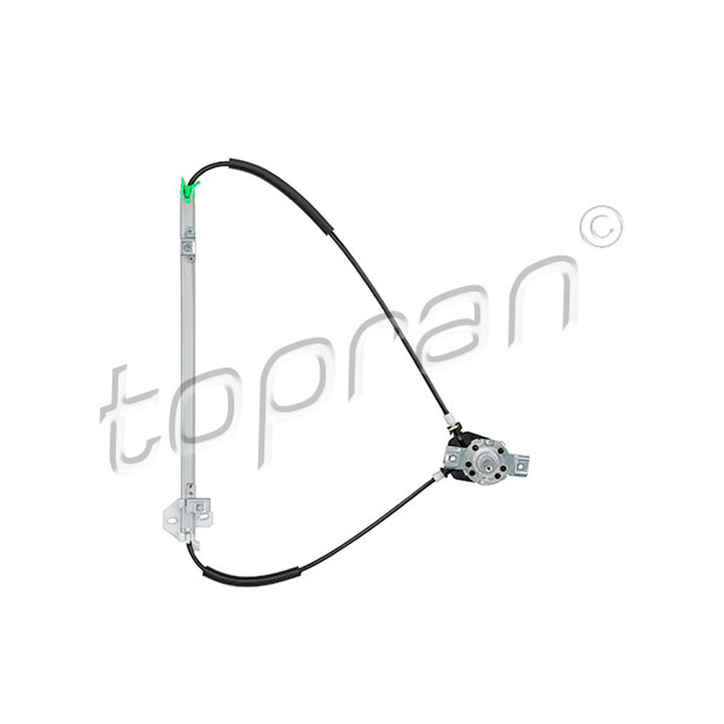 Γρύλος παραθύρου