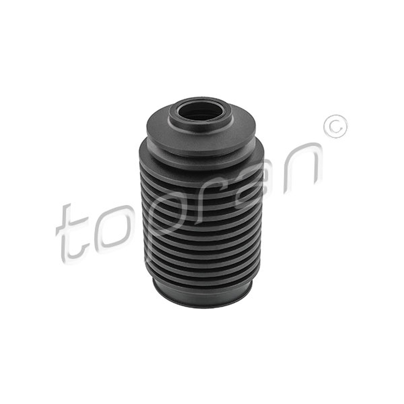 Φούσκα, σύστημα διεύθυνσης