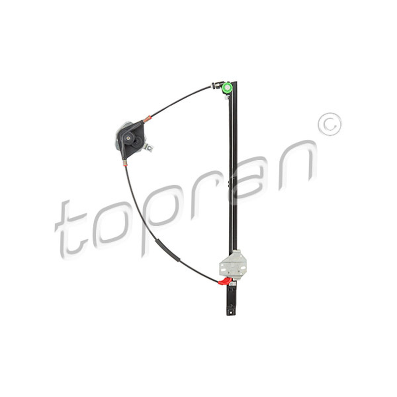 Γρύλος παραθύρου