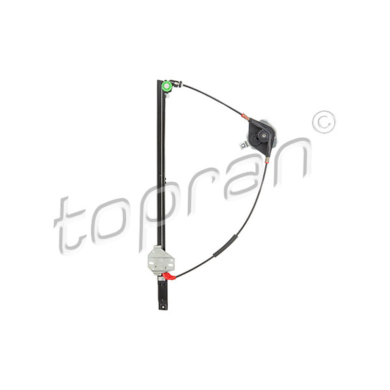 Γρύλος παραθύρου