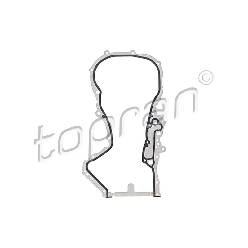 Φλάντζα, περίβλημα εγκεφάλου