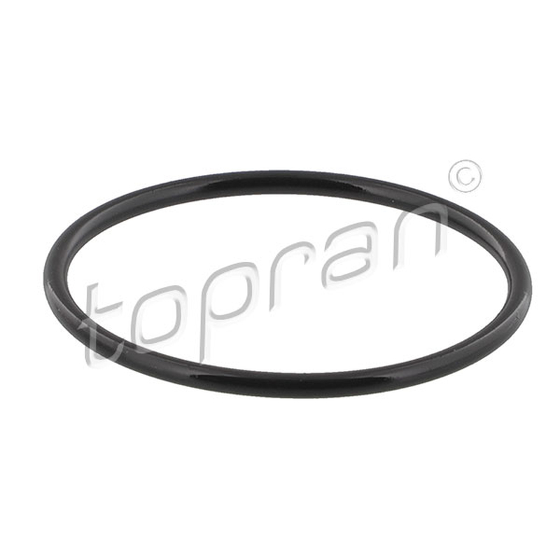 Στεγανοποιητικός δακτύλιος