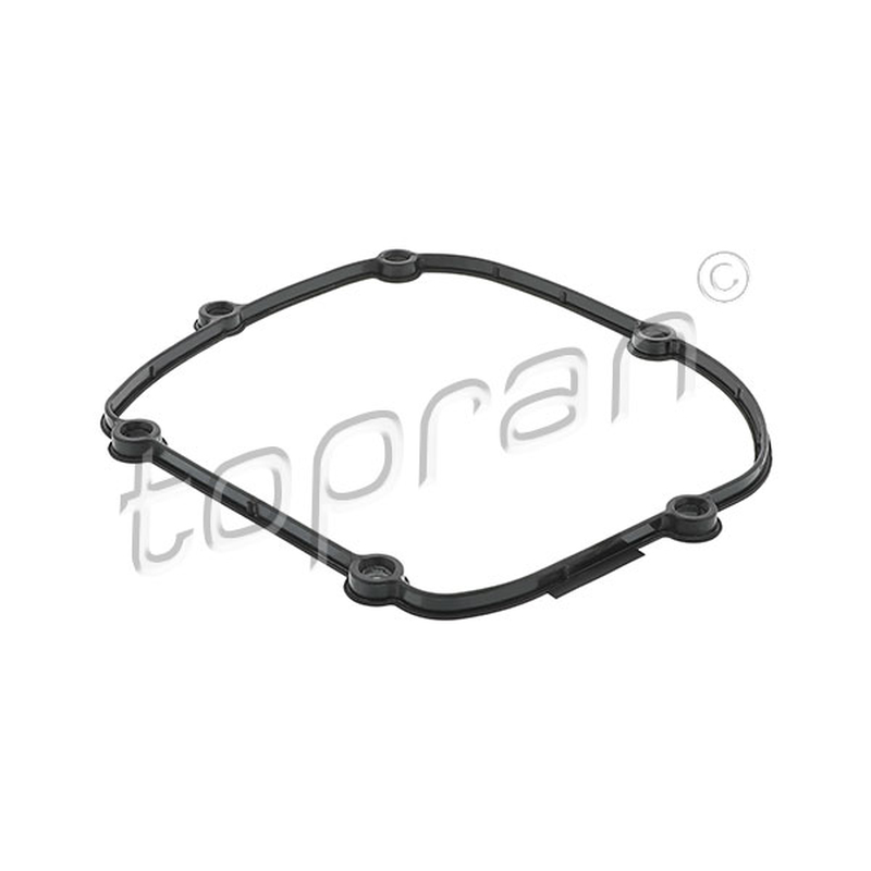 Φλάντζα, περίβλημα εγκεφάλου