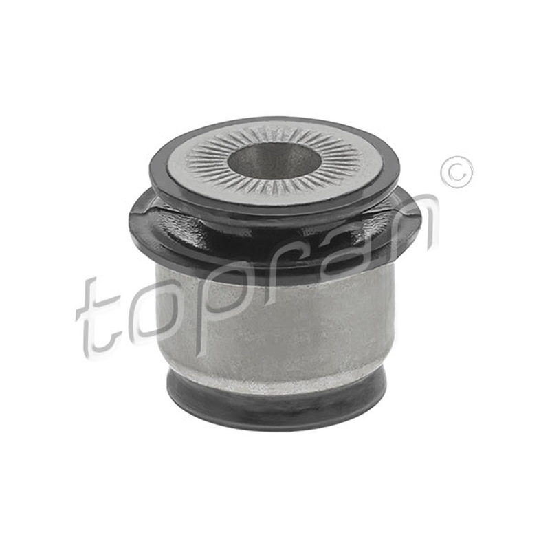 Έδραση, βοηθητικό πλαίσιο/βάση του συγκροτήματος