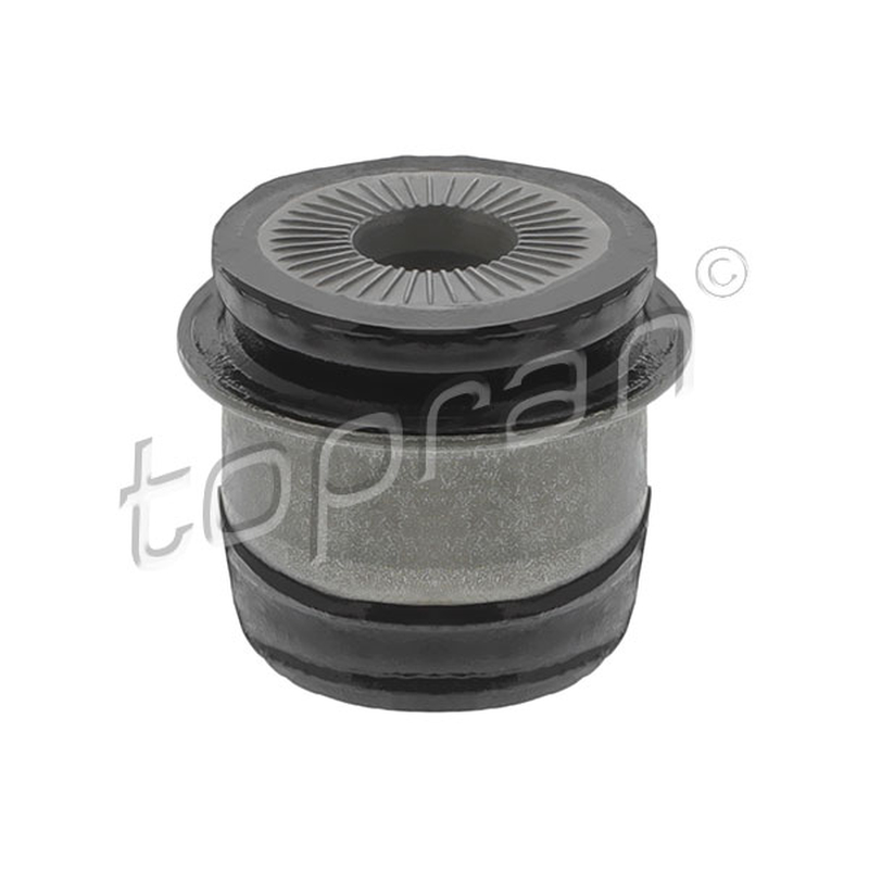 Έδραση, βοηθητικό πλαίσιο/βάση του συγκροτήματος