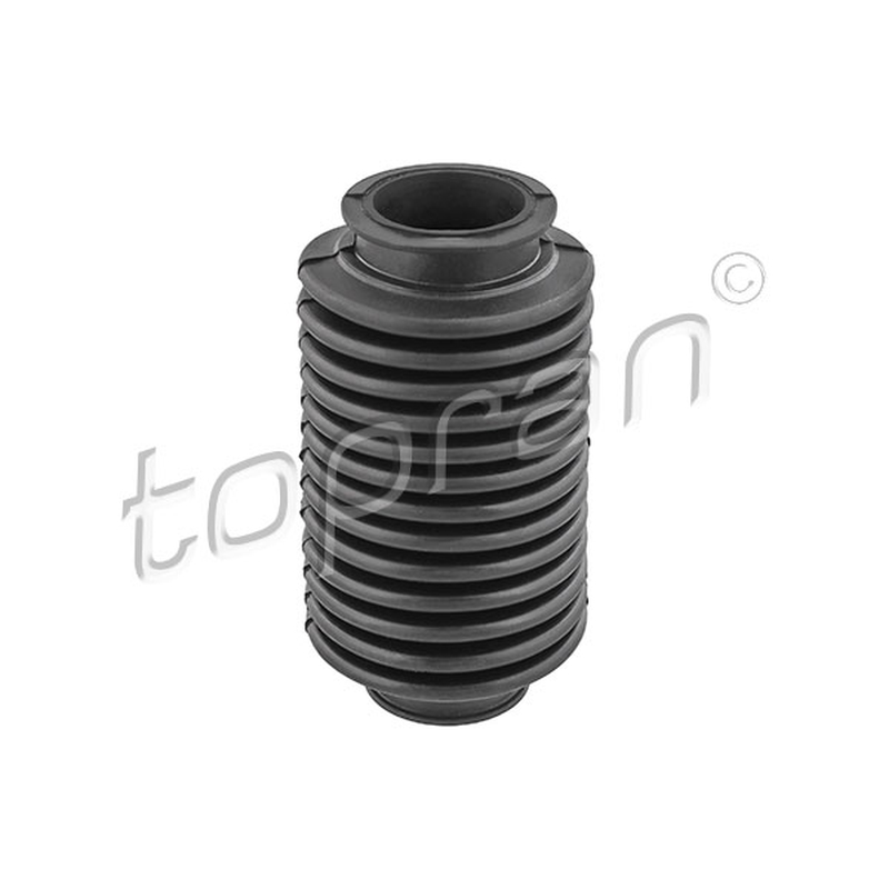 Φούσκα, σύστημα διεύθυνσης