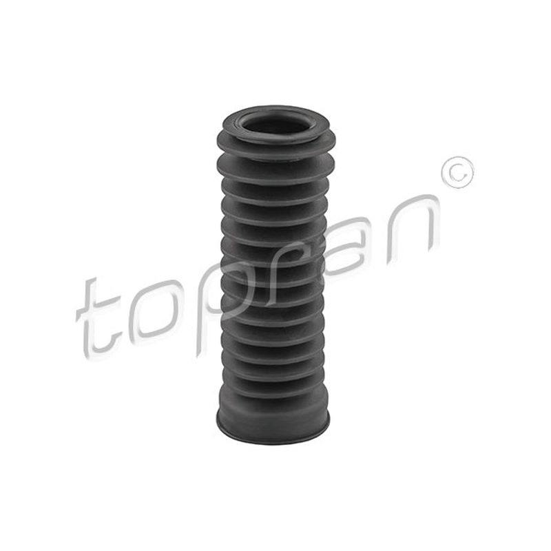 Φούσκα, σύστημα διεύθυνσης