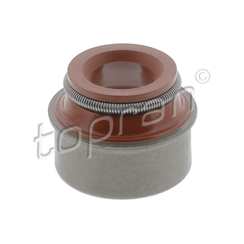 Στεγανοπ. δακτύλιος, στέλεχος βαλβίδας