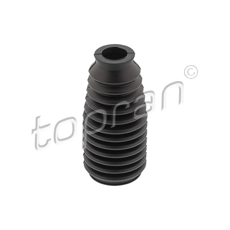 Φούσκα, σύστημα διεύθυνσης