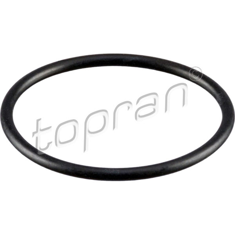 Φλάντζα, θερμοστάτης