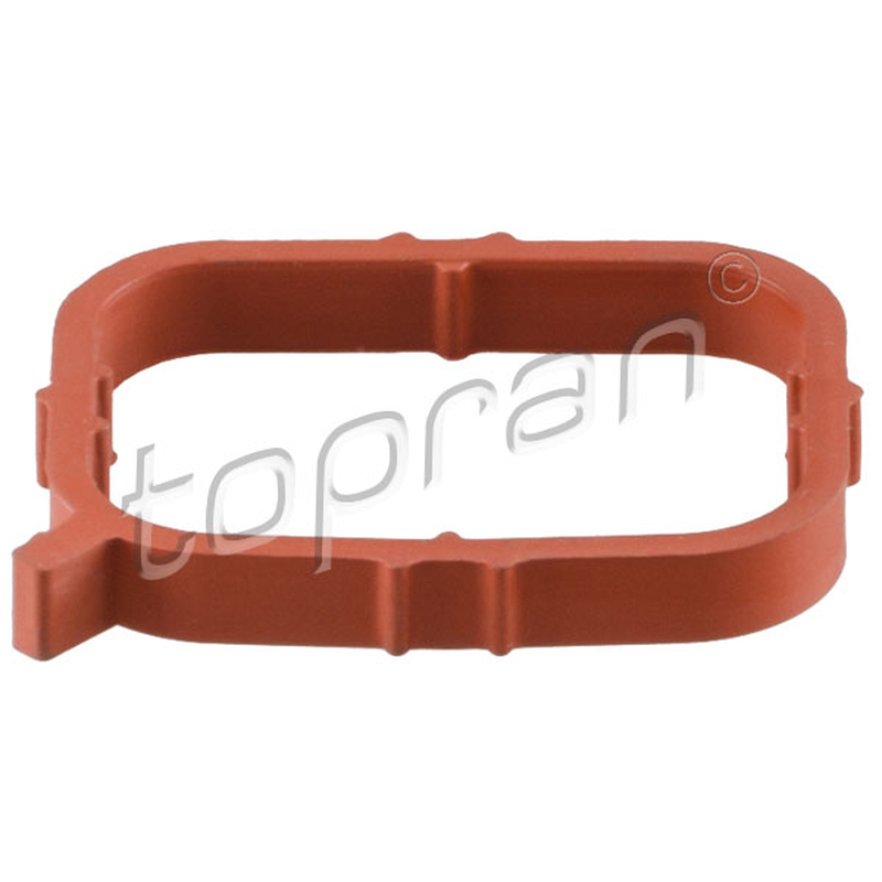 Τσιμούχα, πολλαπλή εισαγωγής