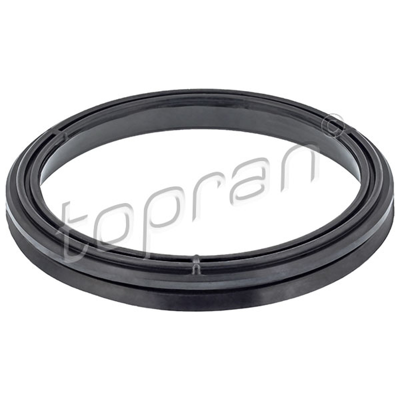 Φλάντζα, περίβλημα εγκεφάλου